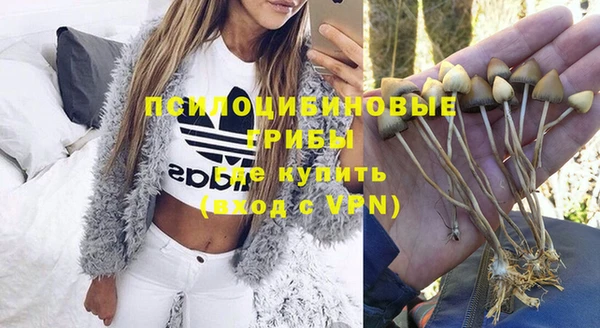 спайс Гатчина