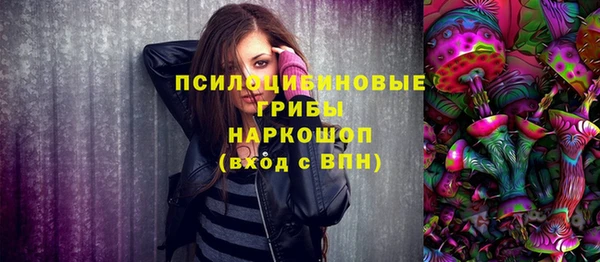 прущая мука Арсеньев