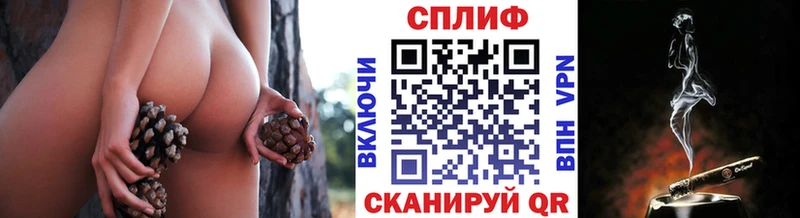 где найти   Армянск  Канабис индика 